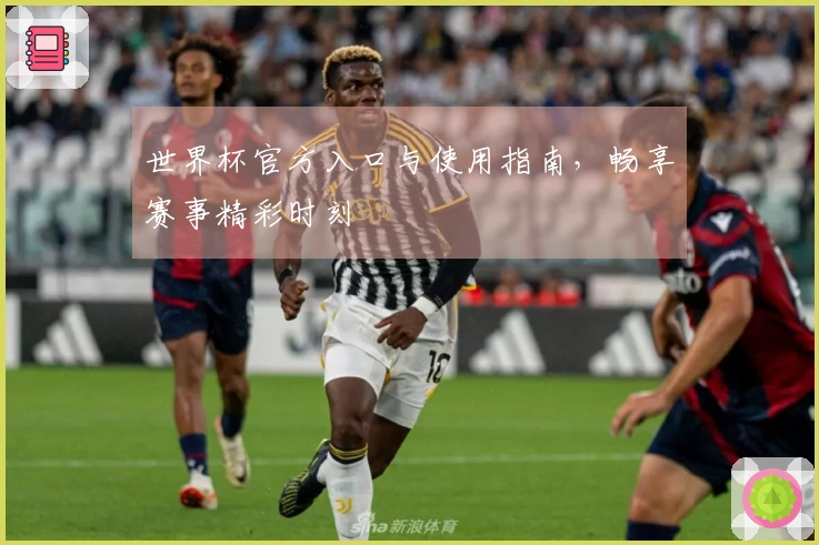 世界杯官方入口与使用指南，畅享赛事精彩时刻