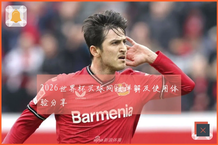 2026世界杯买球网址详解及使用体验分享