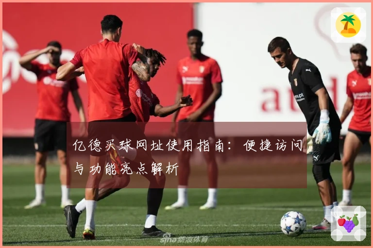 亿德买球网址使用指南：便捷访问与功能亮点解析